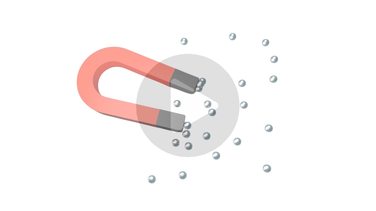 магніт притягує сталь